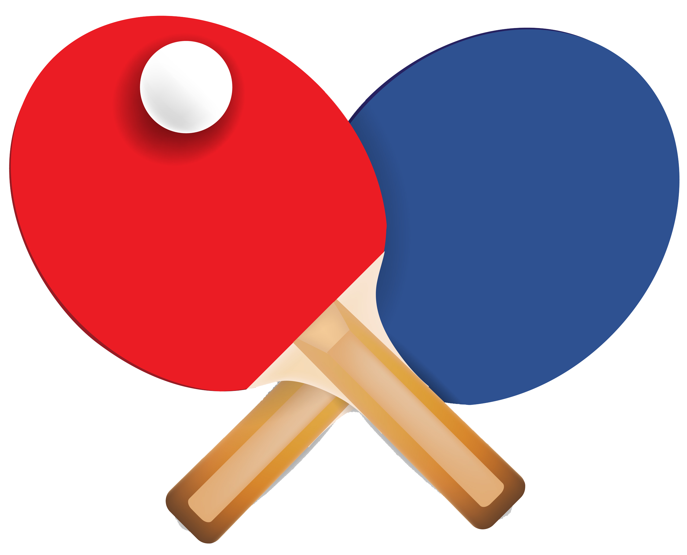 paddle